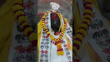 #गिरिराज गोवर्धन ज़तीपुरा मुखरविन्द के आज के दर्शन@