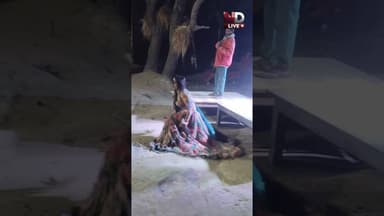 डांस ने मचाया तहलका #viralvideo #ndlive #shorts #viral #reels #ytshorts #youtubeshorts #viralvideo