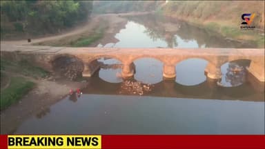 😭 जो नदी हमारी प्यास बुझाती थी, आज वो खुद प्यासी क्यों है? | हिरन नदी, सिहोरा की ग्राउंड रिपोर्ट 🚨
#sihora #news #jbp