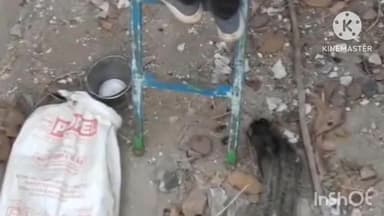 कटघोरा: टंकी में फंसे ‘एशियन पाम सिवेट’ का सुरक्षित रेस्क्यू, नोवा नेचर टीम की सराहनीय पहल