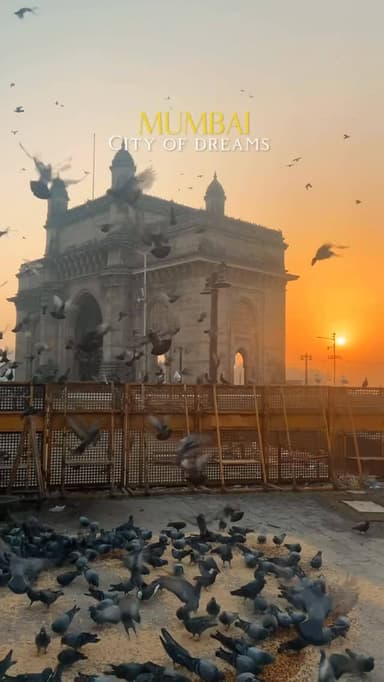 Mumbai city of dreams 💗
From timeless streets to everyday chaos, every corner holds a story waiting to be seen.
Save ...