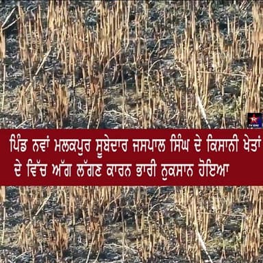 ਪਿੰਡ ਨਵਾਂ ਮਲਕਪੁਰ ਸੂਬੇਦਾਰ ਜਸਪਾਲ ਸਿੰਘ ਦੇ ਕਿਸਾਨੀ ਖੇਤਾਂ ਦੇ ਵਿੱਚ ਅੱਗ ਲੱਗਣ ਕਾਰਨ ਭਾਰੀ ਨੁਕਸਾਨ ਹੋਇਆ ਹੈ #rtvone #news #punjab #rop...