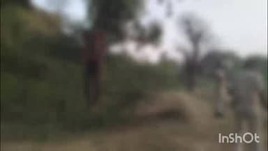 बसवा: दुड़की गांव के पास युवक का शव पेड़ से लटका मिला, फैली सनसनी