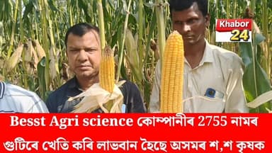 হায়দৰাবাদৰ Besst Agri science কোম্পানীৰ 2755 নামৰ মাকৈৰ গুটিৰে খেতি কৰি লাভবান হৈছে মৰিগাঁও জিলাৰ ভূৰাগাঁৱৰ বহু কৃষক।