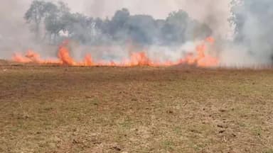 कुदरा: मोहनिया, कुदरा और दुर्गावती में आगलगी की घटना में 25 बीघे से अधिक गेहूं की फसल जलकर राख, किसानों की आंखों से छलके आंसू