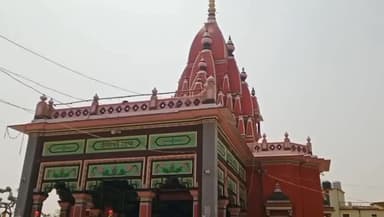 दरभंगा: मां श्यामा के दिगंबर स्वरूप के दर्शन के लिए उमड़ी श्रद्धालुओं की भीड़, साल में एक बार होते हैं दिगंबर रूप के दर्शन