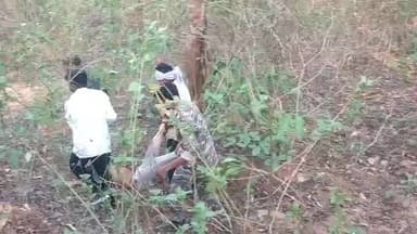 बांसजोर: जलडेगा बोंगेंरा सड़क पर लमडेगा के पास स्कूटी चालक गिरकर घायल, पुलिस ने अस्पताल में कराया भर्ती