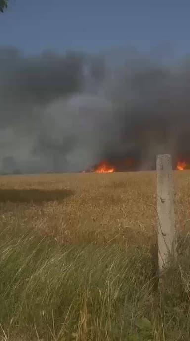 काकोदा गांव के गेहूं के खेतों मे लगी आग, आठ एकड मे लगी आग, किसानो को हुई नुकसान