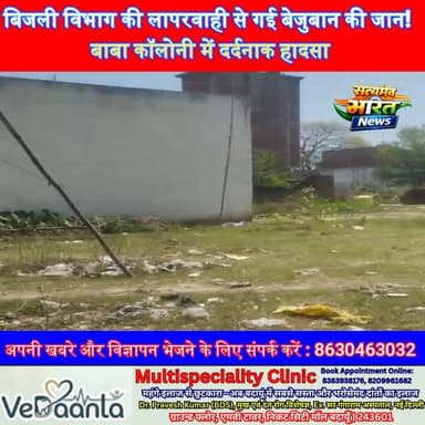 बिजली विभाग की लापरवाही से गई बेजुबान की जान! बाबा कॉलोनी में दर्दनाक हादसा | #BadaunNews #ElectricityDepartment #Neglig...