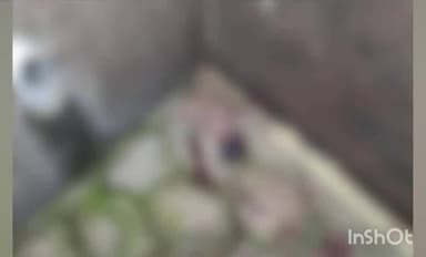 കോഴിക്കോട്: കോഴിക്കോട് നവജാത ശിശുവിന്റെ മൃതദേഹം കണ്ടെത്തിയ സംഭവം,യുവതിയെ പൊലീസ് ഇന്ന് വിശദമായി ചോദ്യം ചെയ്തു