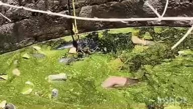 जैतपुर: कुएं में मिले तीन तस्करों के शव, पुलिस अधीक्षक ने गठित की चार विशेष टीमें