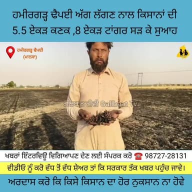ਮਾਨਸਾ ਦੇ ਪਿੰਡ ਹਮੀਰਗੜ ਢੈਪਈ 'ਚ ਅੱ*ਗ ਨਾਲ ਵੱਡਾ ਨੁਕ*ਸਾਨ, 2 ਕਿਸਾਨਾਂ ਦੀ ਠੇਕੇ ਵਾਲੀ ਕਣਕ ਸੜੀ ਸੁਆਹ
#Mansa #PunjabNews #Kisan #Wheat...