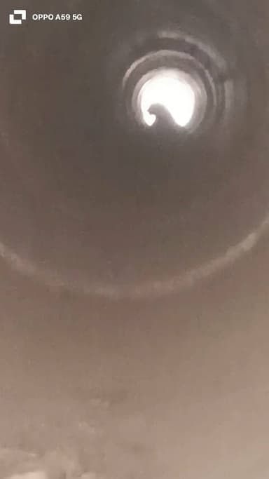 puliya sap karte huye ser mila puliya me betha