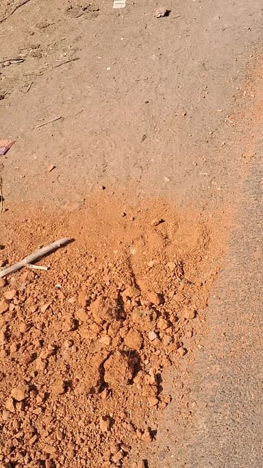 यहां ग्राम पंचायत पटोरी में मिट्टी की समस्या है