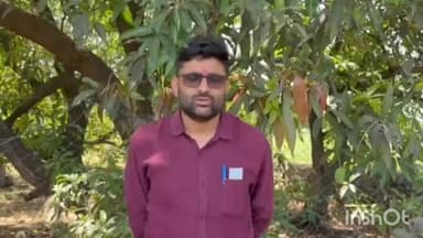 વિસાવદર: ધારાસભ્ય ગોપાલ ઇટાલિયાનું સ્થાનિક સ્વરાજ્યની ચૂંટણી ને લઈ નિવેદન,ભાજપ સામે કર્યા ગંભીર આક્ષેપો