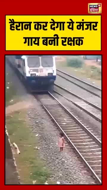 AI Viral Video | हैरान कर देगा ये मंजर—गाय बनी रक्षक
#viralnews #viralshorts