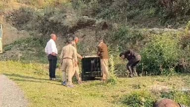 बाराकोट: विकास खंड बाराकोट के मऊ चौमेल में गुलदार ने नाबालिग छात्रा पर किया हमला, क्षेत्र में भय का माहौल