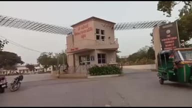 મહુવા: મહુવા માર્કેટયાર્ડમાં સફેદ કાંદાની આવક પર તાત્કાલિક બ્રેક