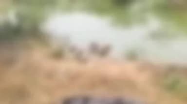 సంగారెడ్డి: సదాశివపేటలో గుర్తుతెలియని మృతదేహం లభ్యం, కేసు నమోదు