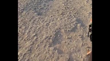 गंगाखेड: विकासाचा बालेकिल्ला आमचा परभणी जिल्हा, रस्त्यांची दुरावस्था : अयोध्या पोळ