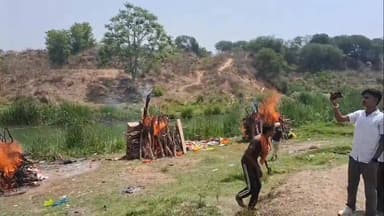 कोन के पीपरखाड़ गांव में एक साथ जलीं तीन चिताएं, वेदांता प्लांट हादसे में गई थी जान, नदी किनारे एक साथ हुआ अंतिम संस्कार