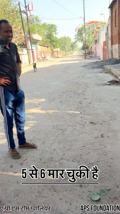 फैक्ट्री वालो की बजेशे से जा रही है जान हमारे राष्ट्रीय पंछी मोर की अभी तक 6 मोत हो चुकी है
#apsgurjar #viral #Gwalior