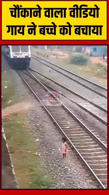 चौंकाने वाला वीडियो- गाय ने बच्चे को बचाया
जरूर देखें...
कृपया पेज को #फॉलो जरुर करें
Sachhai aap tak News 24 #shorts ...