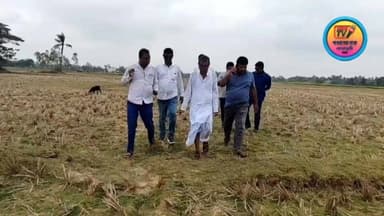 প্রথম বার গঙ্গাসাগরে সভা অভিষেক বন্দ্যোপাধ্যায়ের।।সভা কে ঘিরে প্রস্তুতি তুঙ্গে।।
#gangasagar #sagardwip #tmc #AbhishekB...