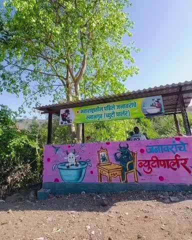 पाटण: मानेची वाडी येथील जनावरांचा ब्युटी पार्लर चा व्हिडिओ व्हायरल