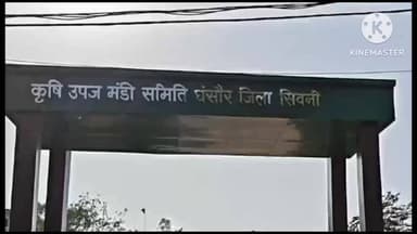 घंसौर: स्लॉट बुकिंग के बाद भी मंडी में खरीदी शुरू नहीं, वारदाना की कमी बनी कारण