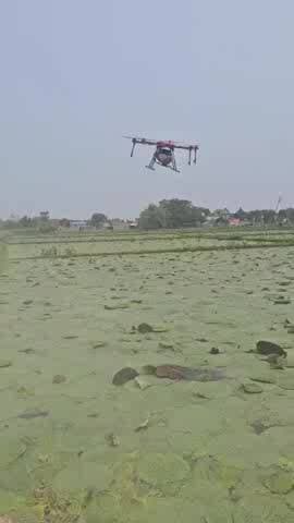 दिघलबैंक: दिघलबैंक में मखाना की आधुनिक खेती, ड्रोन से मखाना खेतों में नैनो डीएपी का छिड़काव शुरू