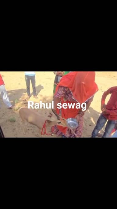 कोलायत के ग्रांधी से बड़ी खबर