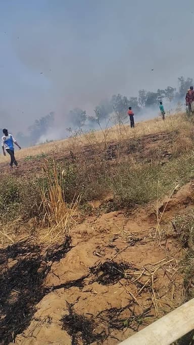 मझौली गांव मे आग लगी ओर गेहूं जल गया हे