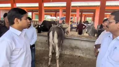 सिकंदरा: गुर्दही बुजुर्ग में सीडीओ ने गौ-सरंक्षण केंद्र पर किया औचक निरीक्षण, सीसीटीवी व बायोगैस संचालन के लिए दिए सख्त निर्देश