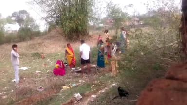 बरकट्ठा: शिलाडीह में अत्यधिक गर्मी और लू के कारण एक गाय की मौत