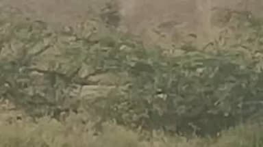 బద్వేల్: కమలాపురం : వరస చోరీలతో ప్రజలను భయాందోళనకు గురి చేస్తున్న దుండగులు