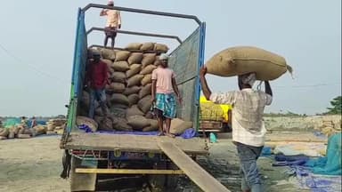 মাটিয়া: নৱাগত শিমলীতোলা বজাৰৰ লগতে গোৱালপাৰা জিলাৰ বিভিন্ন প্ৰান্তত মাকৈৰ মূল্য হ্ৰাস পোৱাত কৃষকৰ মাজত হাহাকাৰ অৱস্থা