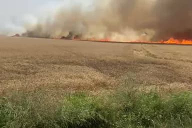 ਮਲੋਟ: ਪੱਕੀ ਟਿੱਬੀ, ਕਬਰ ਵਾਲਾ, ਗੁਰੂਸਰ ਤੇ ਮਲੂਕਪੁਰਾ ਪਿੰਡਾਂ ਵਿੱਚ ਖੇਤਾਂ 'ਚ ਲੱਗੀ ਭਿਆਨਕ ਅੱਗ, ਪੀੜਤ ਕਿਸਾਨਾਂ ਨਾਲ ਮਿਲੇ ਸੁਖਬੀਰ ਬਾਦਲ