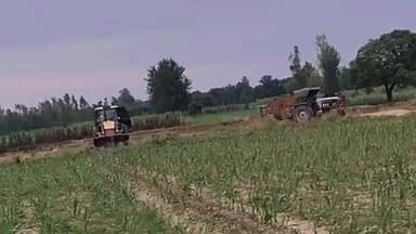 बुढ़ाना: तहसील क्षेत्र के थाना शाहपुर के गांव कटबी के जंगल में धड़ल्ले से हो रहा है मिट्टी का अवैध खनन, अधिकारी मौन