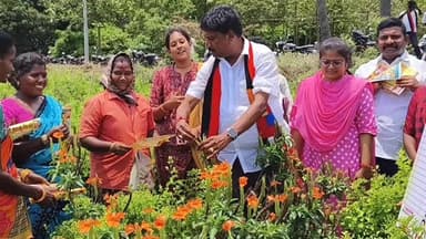 விக்கிரவாண்டி: வடகுச்சிபாளையம் பகுதியில் விவசாயிகளிடம் வாக்கு சேகரிப்பில் ஈடுபட்ட விக்கிரவாண்டி தொகுதி வேட்பாளர்