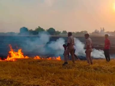 पिंड्रा: वाराणसी के कठिरांव में आग लगने से 7 बीघा फसल जल गई, पुलिस और ग्रामीणों की मदद से आग पर पाया गया काबू