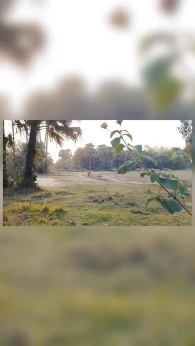 नीलगाय की आतंक से ग्रामीण सकरा वासी परेशान ।
