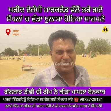 ਮਾਰਕਫੈਡ ਖਰੀਦ ਏਜੰਸੀ ‘ਤੇ ਸਵਾਲ! ਧਲੇਵਾਂ ਅਨਾਜ ਮੰਡੀ ਵਿੱਚ ਸੈਂਪਲ ਚੈੱਕ ਦੌਰਾਨ ਵੱਡੀ ਨਮੀ ਬੇਨਕਾਬ — ਆੜਤੀਆਂ ‘ਤੇ ਇੰਸਪੈਕਟਰ ਦੇ ਗੰਭੀਰ ਆਰੋਪ,...