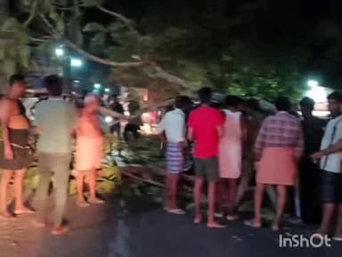 ചെങ്ങന്നൂർ: ഓടിക്കൊണ്ടിരുന്ന കാറിന് മുകളിൽ മരം വീണു കാർ തകർന്നു