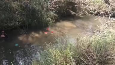 नदी किनारे कच्ची शराब की मिनी फैक्ट्री,गहरे पानी में कच्चा माल, मैहर जिले की ताला पुलिस ने फेल किया माफिया का खेल