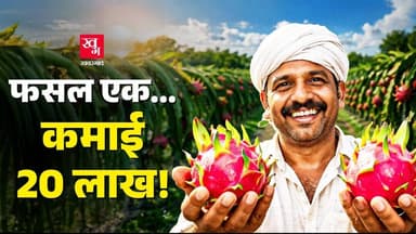 Dragon Fruit: लाखों कमाने का सबसे सटीक तरीका? | Horticulture | GOI