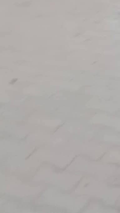 tikari jafran mahwa me huaa apsi jhagda
me huaa adme ngga orto se ldta huaa iss video me app dekh rhe h is adme ko sja