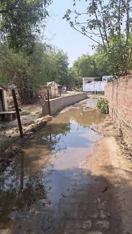 baraundha mzp pac gate Annapurna rice mill ka pass