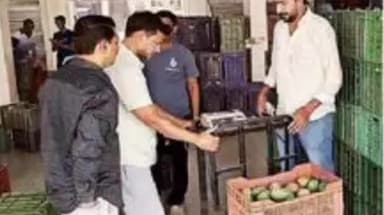 ધરમપુર: બામટી એપીએમસી માર્કેટ માં 5,000 મણ કેરીની આવક શરૂ