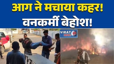 सतना में भीषण जंगल आग, 20 हेक्टेयर क्षेत्र जलकर खाक आग बुझाते-बुझाते गिरे वनकर्मी, #Satna #ForestFire #BreakingNews #MPN...